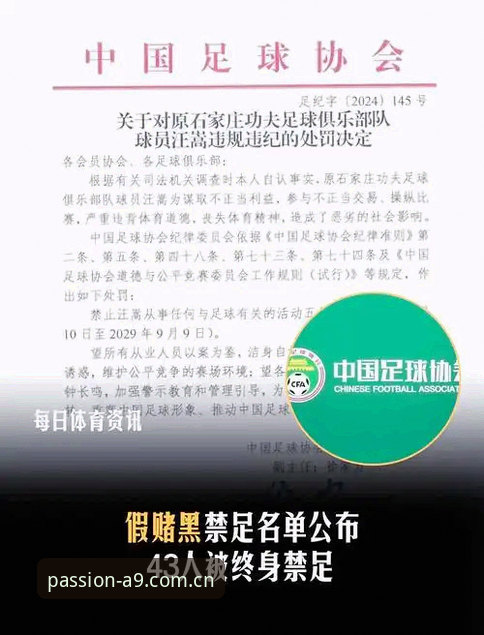 足坛反腐风暴深度解读：从禁足名单看中国足球生态重建的实用知识